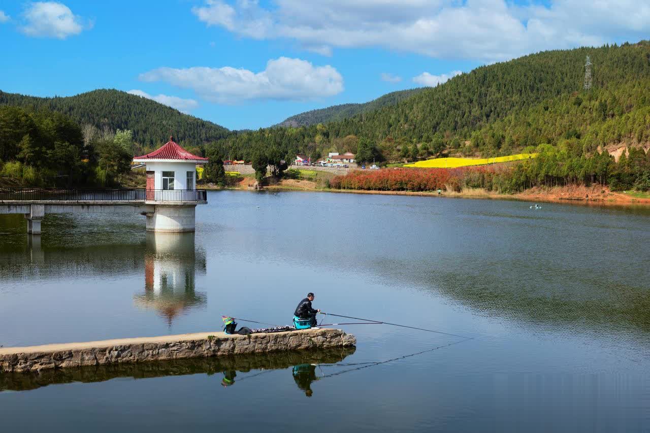 十大, div, entit 十大, div, entit