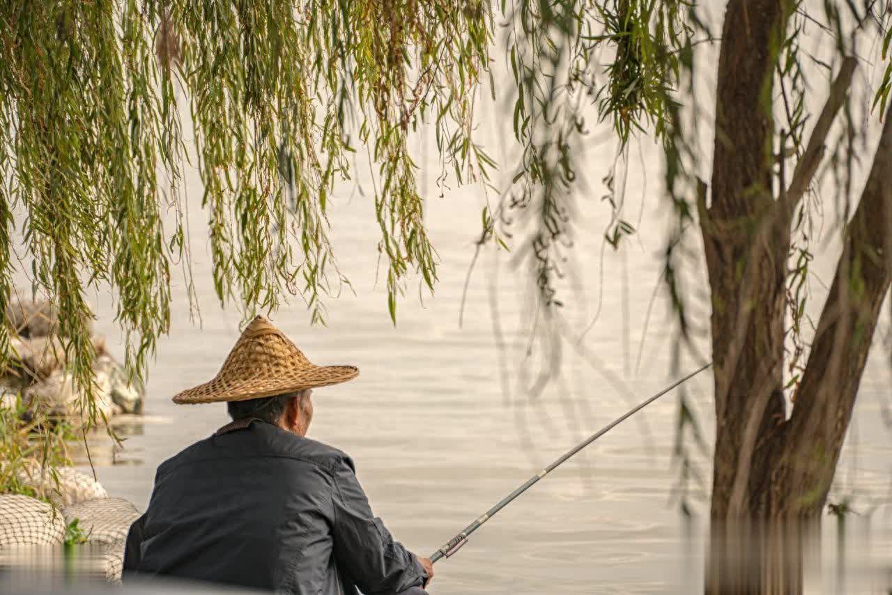 div, div, div div, div, div